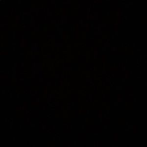 Meet your Posher, Bryant